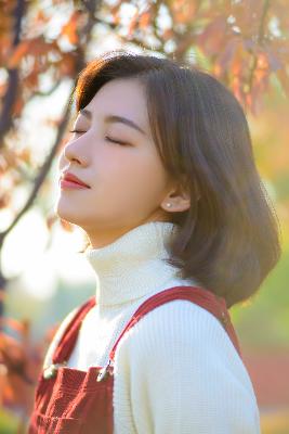 51免费版漫画官网